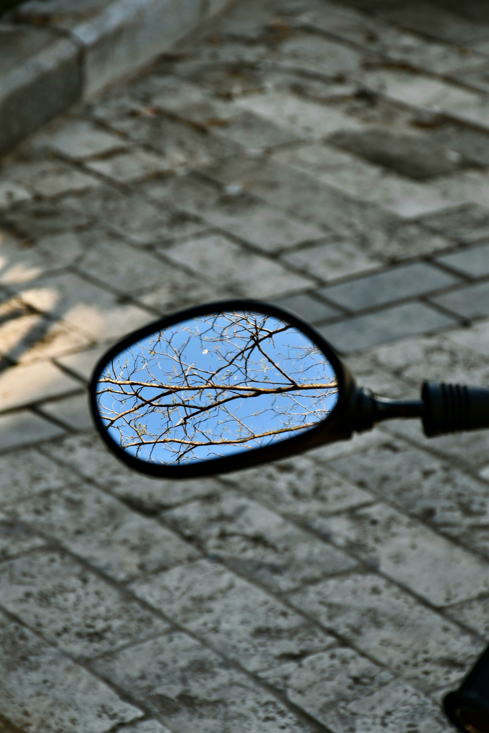 pexels-moon-and-others-517657714-16288775